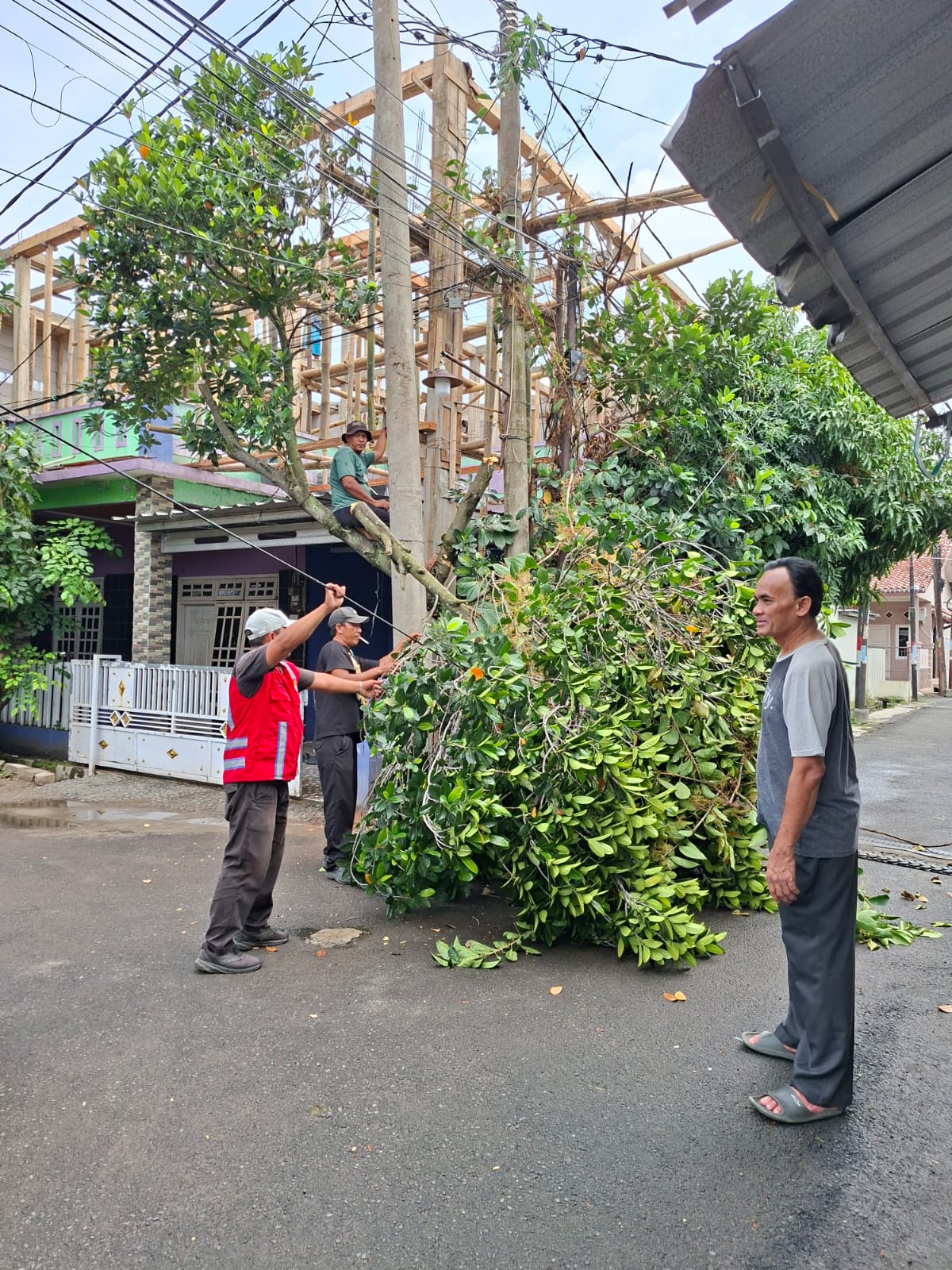 Kegiatan perbaikan penerangan jalan umum(PJU)Dinas Perhubungan Kota Serang Perbaikan jaringan di perum ciceri permai